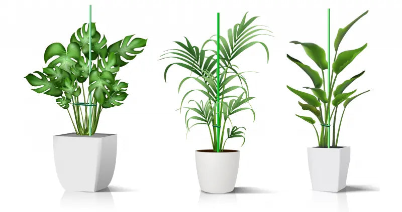 Pflanzstäbe aus GFK Grün und Weiß Fibrolux