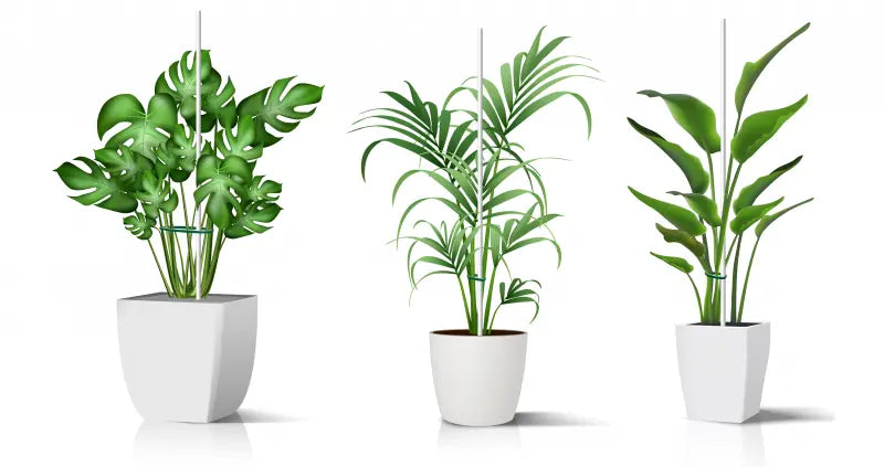 Pflanzstäbe aus GFK Grün und Weiß Fibrolux