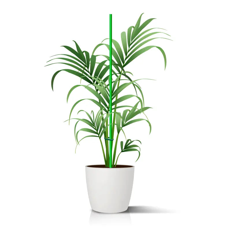 Pflanzstäbe aus GFK Grün und Weiß Fibrolux