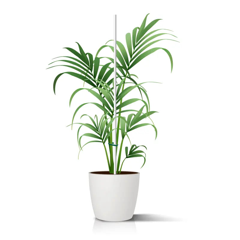 Pflanzstäbe aus GFK Grün und Weiß Fibrolux